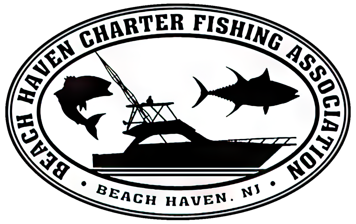 Beach Haven Charter Fishing Association